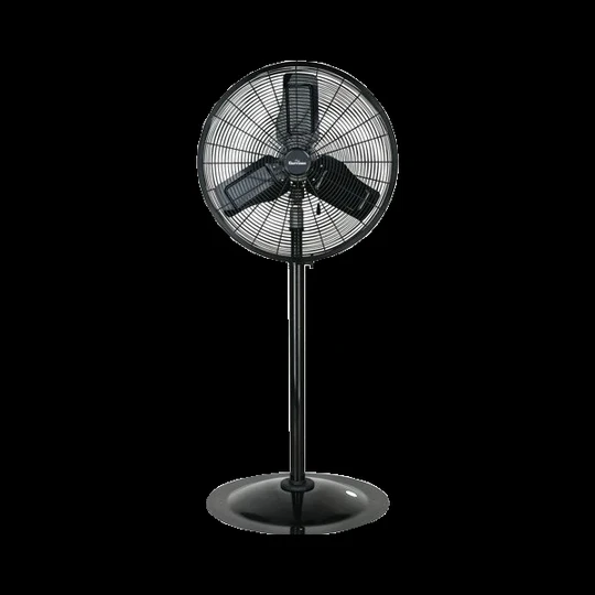 Stand Fan