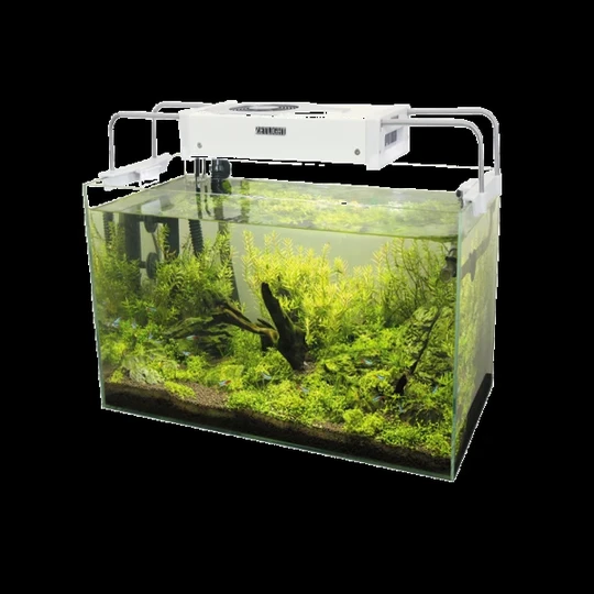 Aquarium