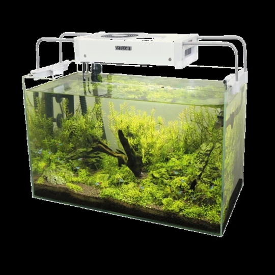 Aquarium