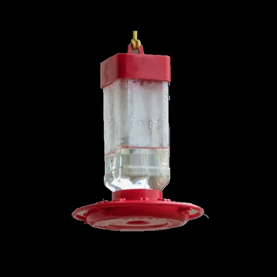 Bird Feeder
