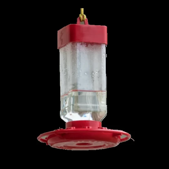Bird Feeder