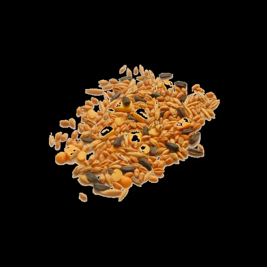 Bird Food