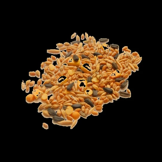 Bird Food