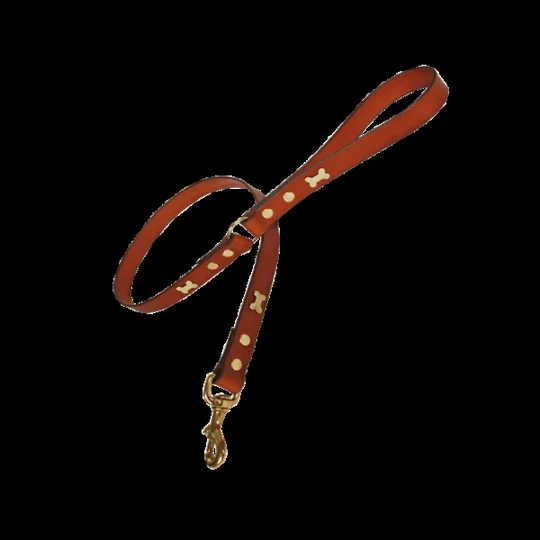 Leash