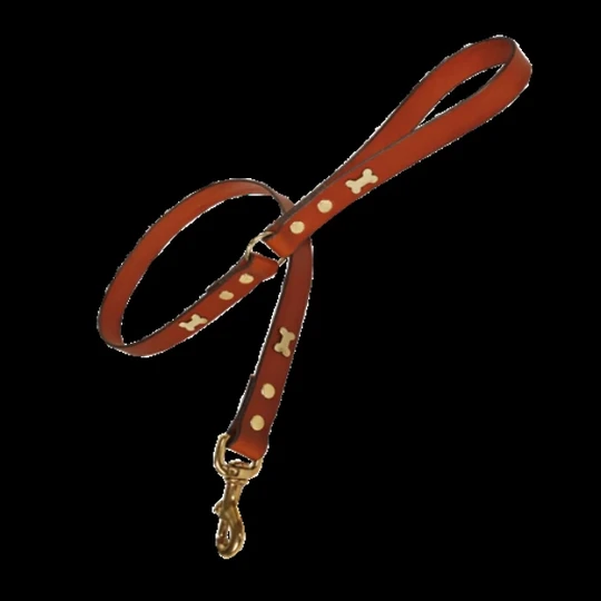 Leash