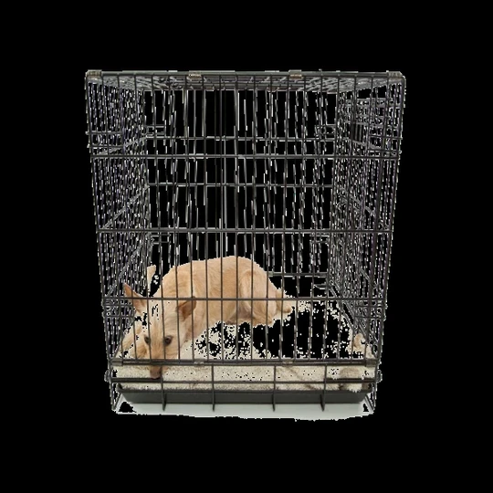 Pet Cage