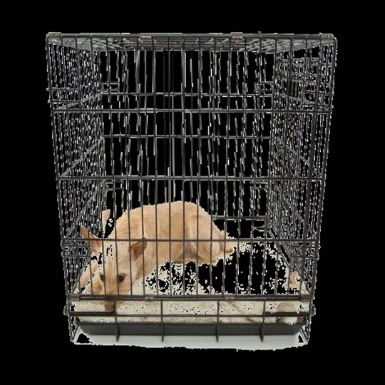 Pet Cage