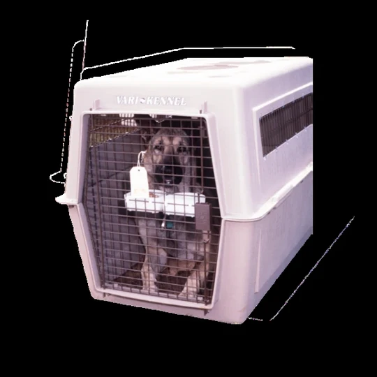 Pet Crate