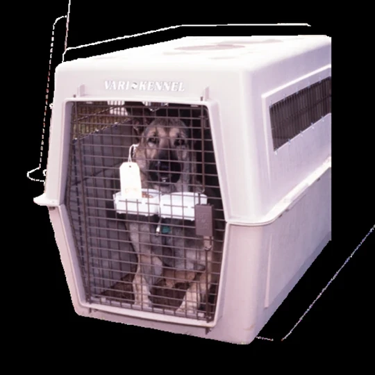 Pet Crate