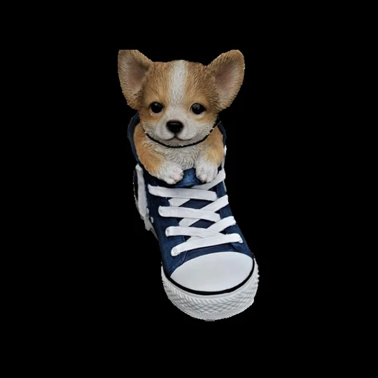 Pet Shoes
