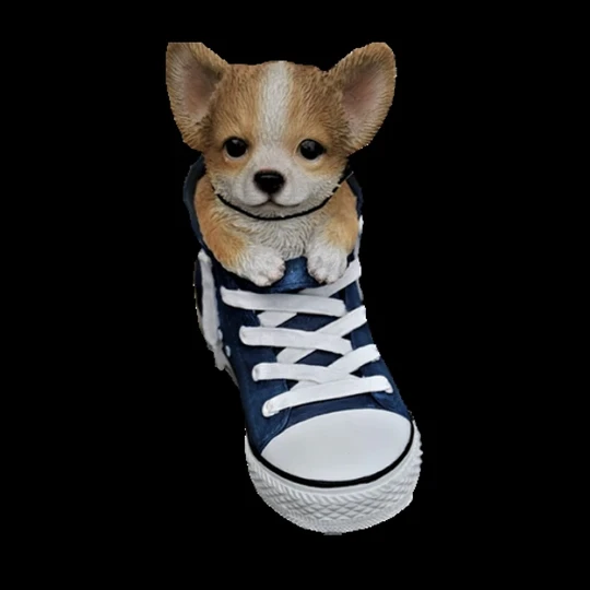 Pet Shoes